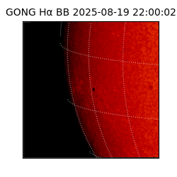 gong - 2025-08-19T22:00:02
