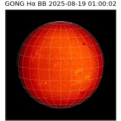 gong - 2025-08-19T01:00:02