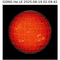 gong - 2025-08-19T02:09:42