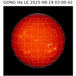 gong - 2025-08-19T03:00:42