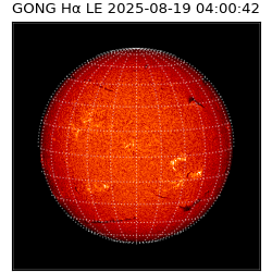 gong - 2025-08-19T04:00:42