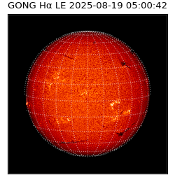 gong - 2025-08-19T05:00:42