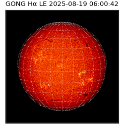 gong - 2025-08-19T06:00:42