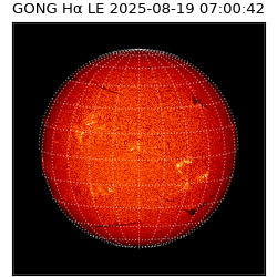 gong - 2025-08-19T07:00:42
