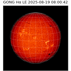gong - 2025-08-19T08:00:42