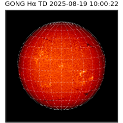 gong - 2025-08-19T10:00:22