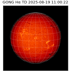 gong - 2025-08-19T11:00:22
