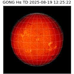 gong - 2025-08-19T12:25:22