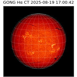 gong - 2025-08-19T17:00:42