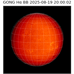 gong - 2025-08-19T20:00:02