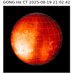 gong - 2025-08-19T21:02:42