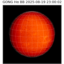 gong - 2025-08-19T23:00:02