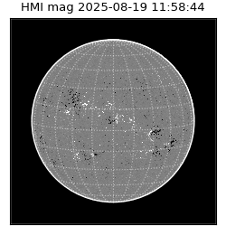 shmi - 2025-08-19T11:58:44