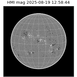 shmi - 2025-08-19T12:58:44