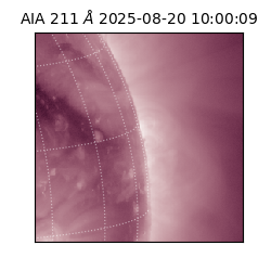 saia - 2025-08-20T10:00:09.626000