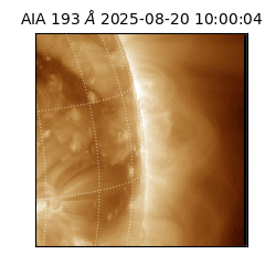 saia - 2025-08-20T10:00:04.843000