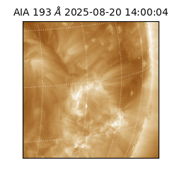 saia - 2025-08-20T14:00:04.843000