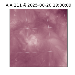 saia - 2025-08-20T19:00:09.632000