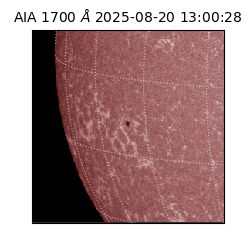 saia - 2025-08-20T13:00:28.717000