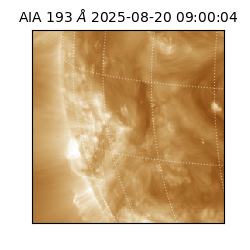 saia - 2025-08-20T09:00:04.847000