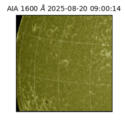 saia - 2025-08-20T09:00:14.126000