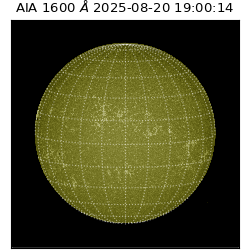 saia - 2025-08-20T19:00:14.126000