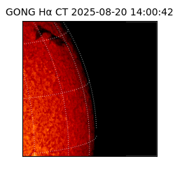gong - 2025-08-20T14:00:42