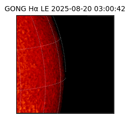 gong - 2025-08-20T03:00:42