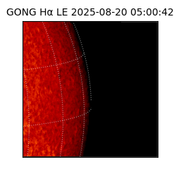 gong - 2025-08-20T05:00:42