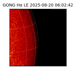 gong - 2025-08-20T06:02:42
