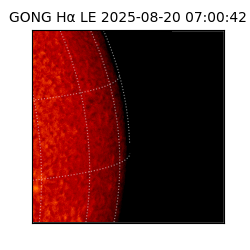 gong - 2025-08-20T07:00:42