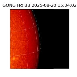 gong - 2025-08-20T15:04:02