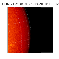 gong - 2025-08-20T16:00:02