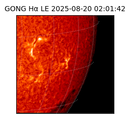 gong - 2025-08-20T02:01:42