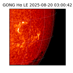 gong - 2025-08-20T03:00:42