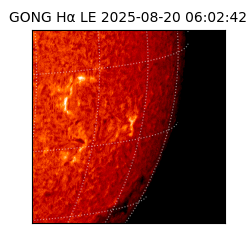 gong - 2025-08-20T06:02:42