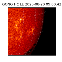gong - 2025-08-20T09:00:42