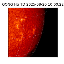 gong - 2025-08-20T10:00:22