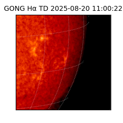 gong - 2025-08-20T11:00:22