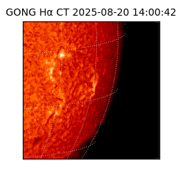 gong - 2025-08-20T14:00:42