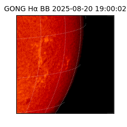 gong - 2025-08-20T19:00:02