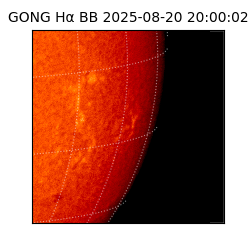 gong - 2025-08-20T20:00:02