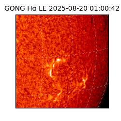 gong - 2025-08-20T01:00:42