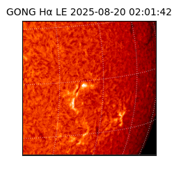 gong - 2025-08-20T02:01:42