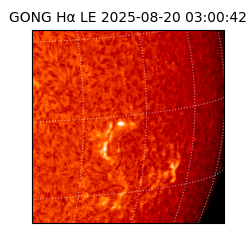 gong - 2025-08-20T03:00:42