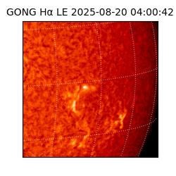 gong - 2025-08-20T04:00:42