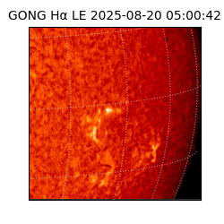 gong - 2025-08-20T05:00:42