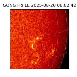 gong - 2025-08-20T06:02:42