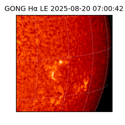 gong - 2025-08-20T07:00:42