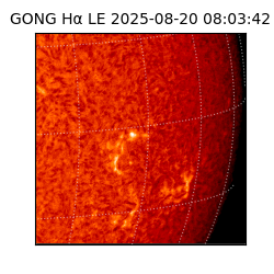 gong - 2025-08-20T08:03:42